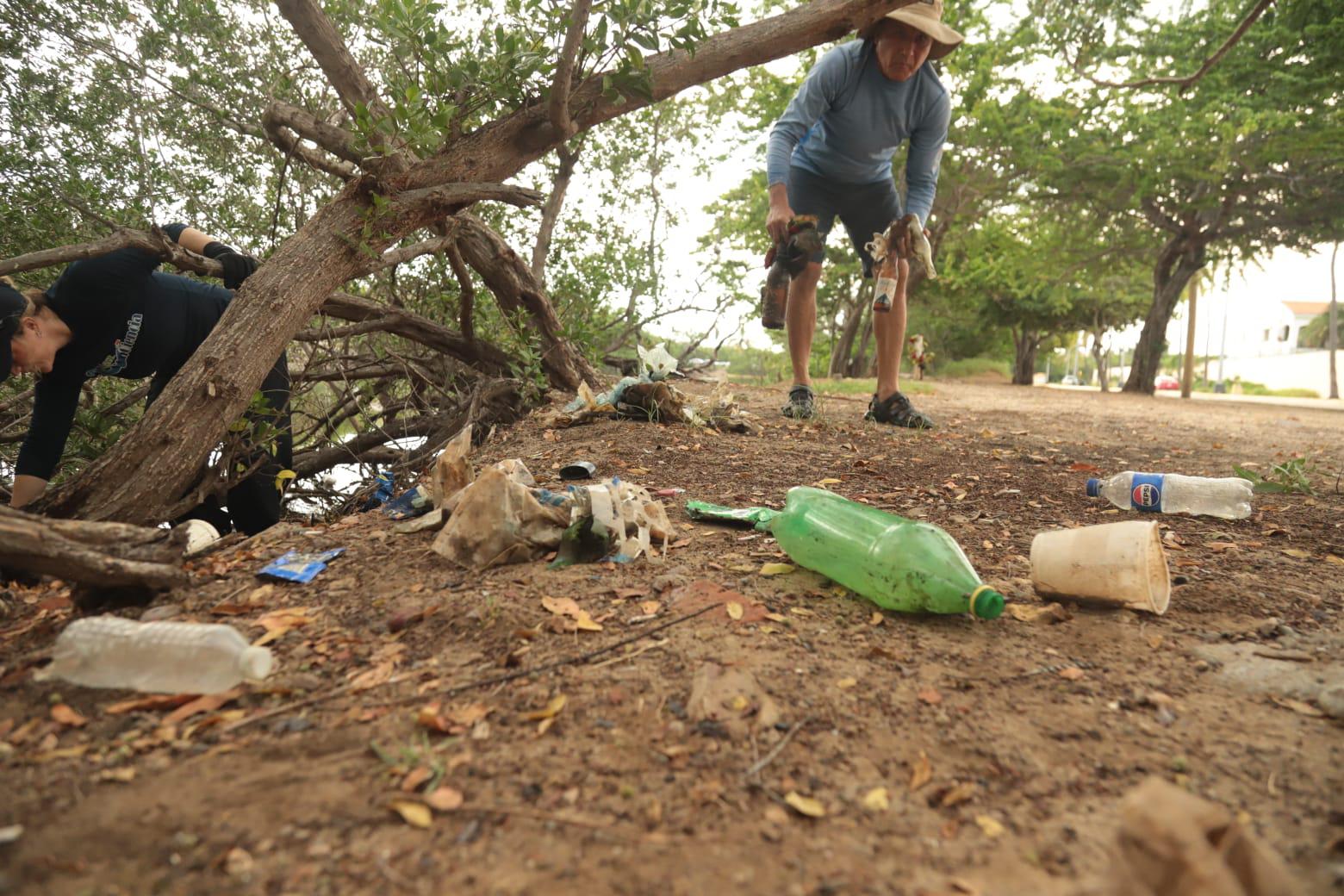 $!Se suman cientos de voluntarios a jornada ambiental para rescatar playas, selva y mangles en Mazatlán