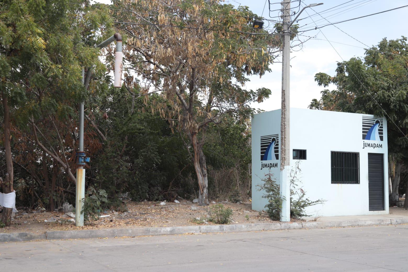 $!Invasión en Parque Bonfil continúa extendiéndose por varios terrenos del manglar