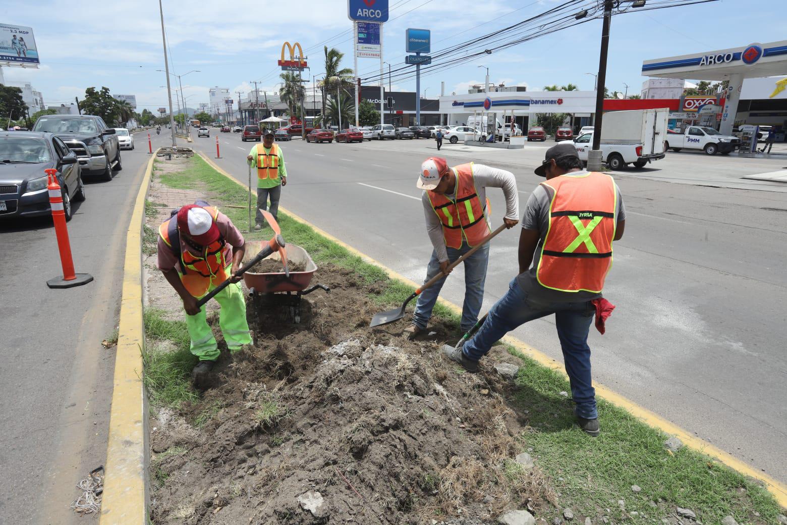 $!Avanzan con trabajos de embellecimiento en Mazatlán estas vacaciones