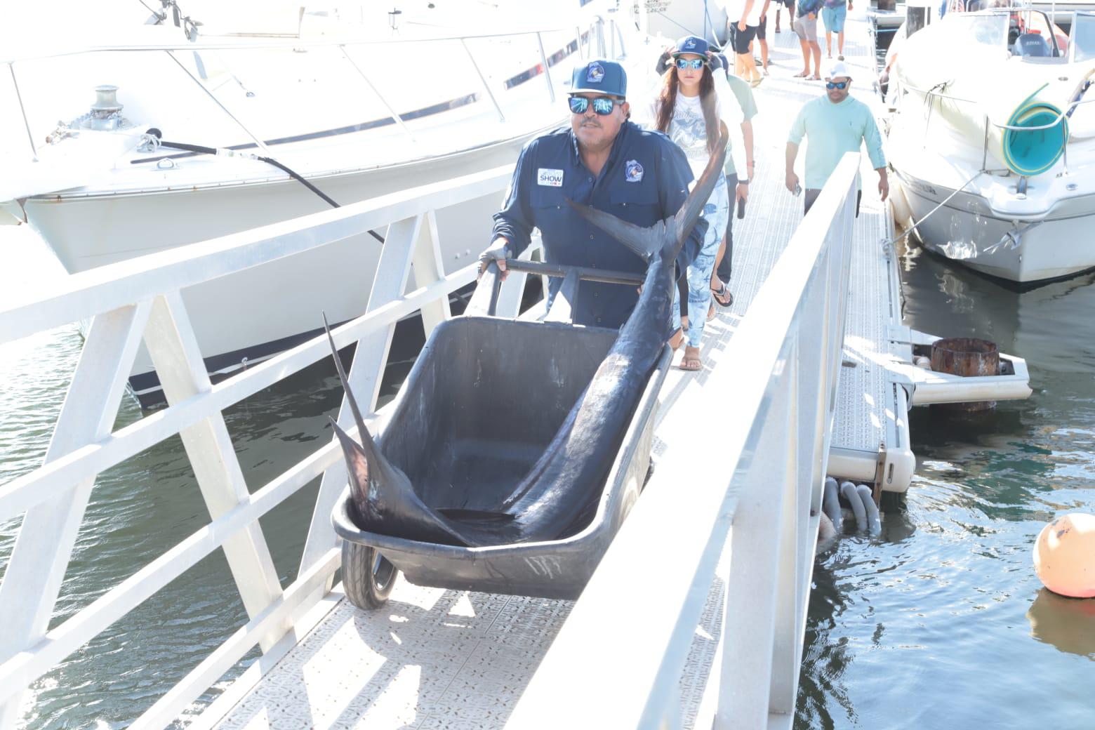 $!Nutrida participación de embarcaciones en Pacífic Marlin Cup 2025