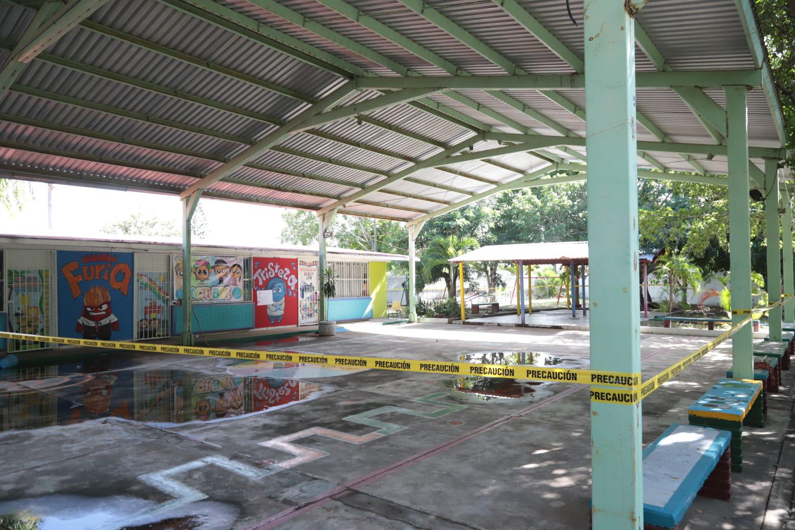 $!Enjambre de abejas obliga a suspender actividades en jardín de niños de Lomas de Mazatlán