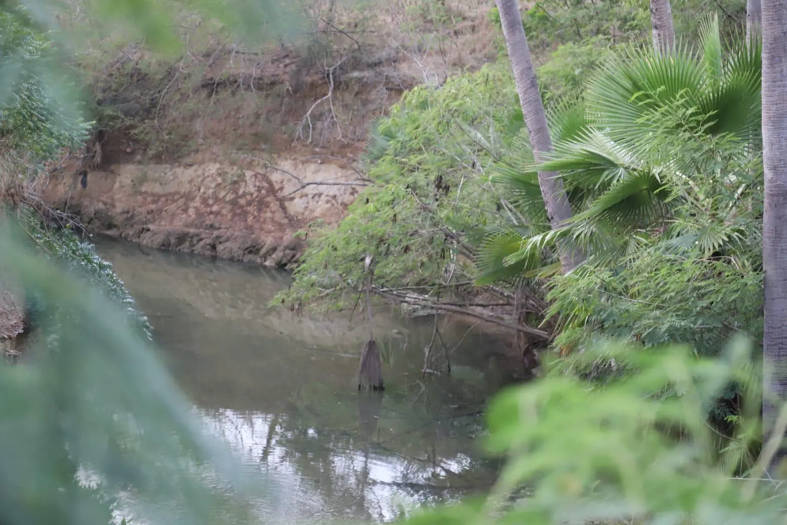 $!Encuentran flotando en arroyo cuerpo putrefacto de un hombre en Mazatlán