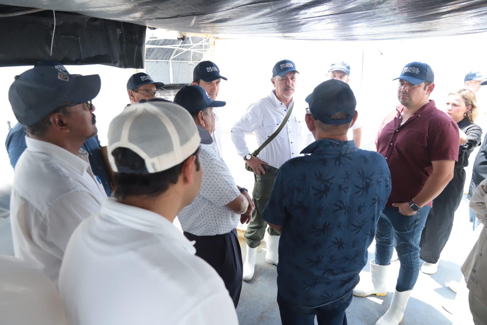 $!Recorre titular de Conapesca granjas acuícolas y laboratorios del sur de Sinaloa