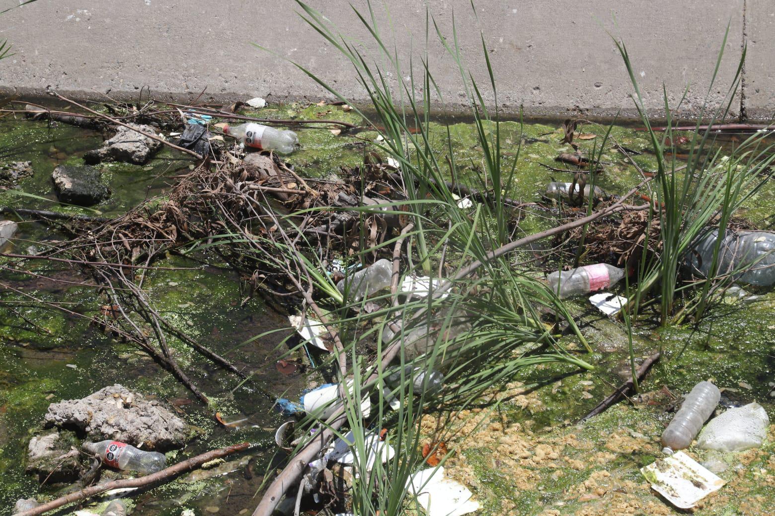 $!Canales pluviales de Mazatlán se han convertido en vertederos de desechos