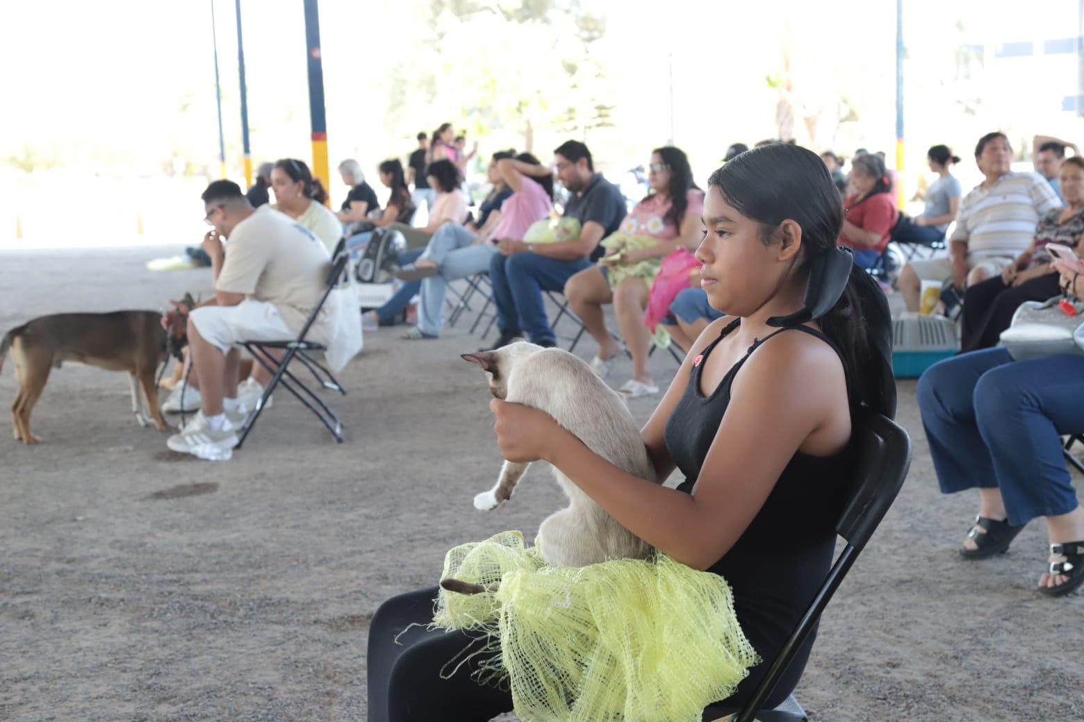 $!En Mazatlán, realizan 200 cirugías de esterilización de mascotas