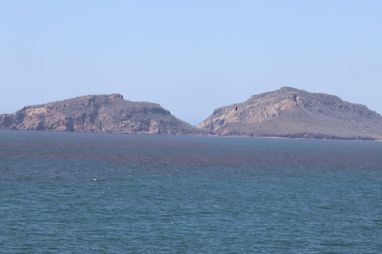 $!Marea roja en la bahía de Mazatlán, preocupa por su toxicidad e impacto ambiental