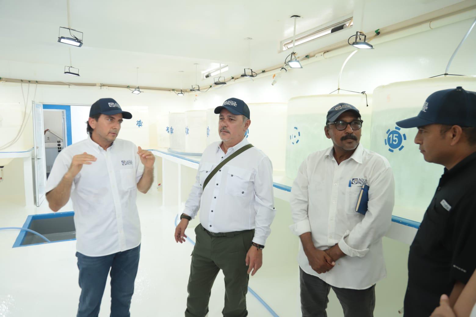 $!Recorre titular de Conapesca granjas acuícolas y laboratorios del sur de Sinaloa