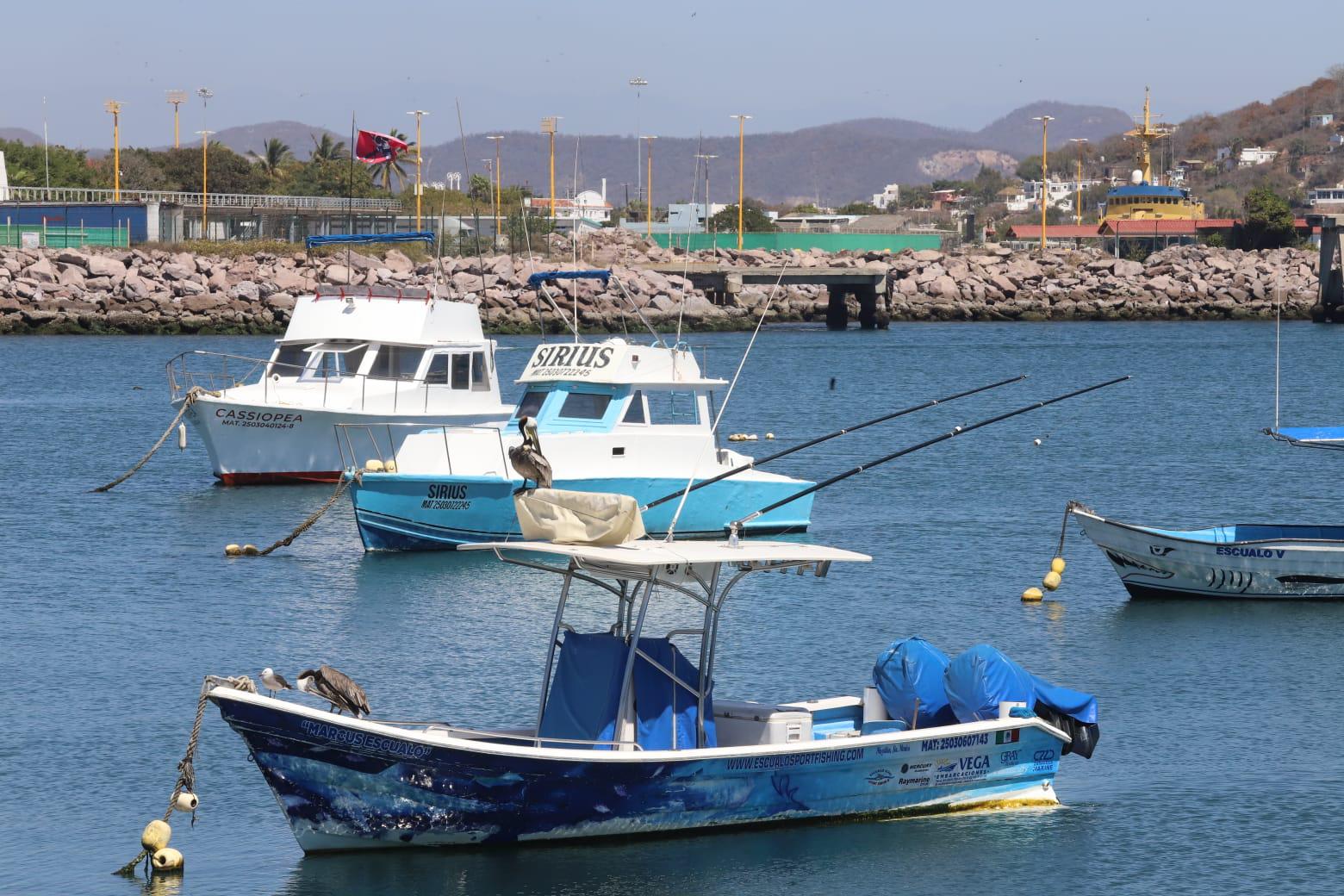 $!Ven operadores de catamaranes panorama complicado, previo a Semana Santa