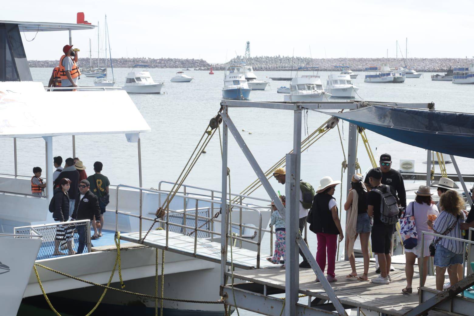 $!Paseos de catamarán en Mazatlán se mantuvieron al 65% durante diciembre; pega cuesta de enero