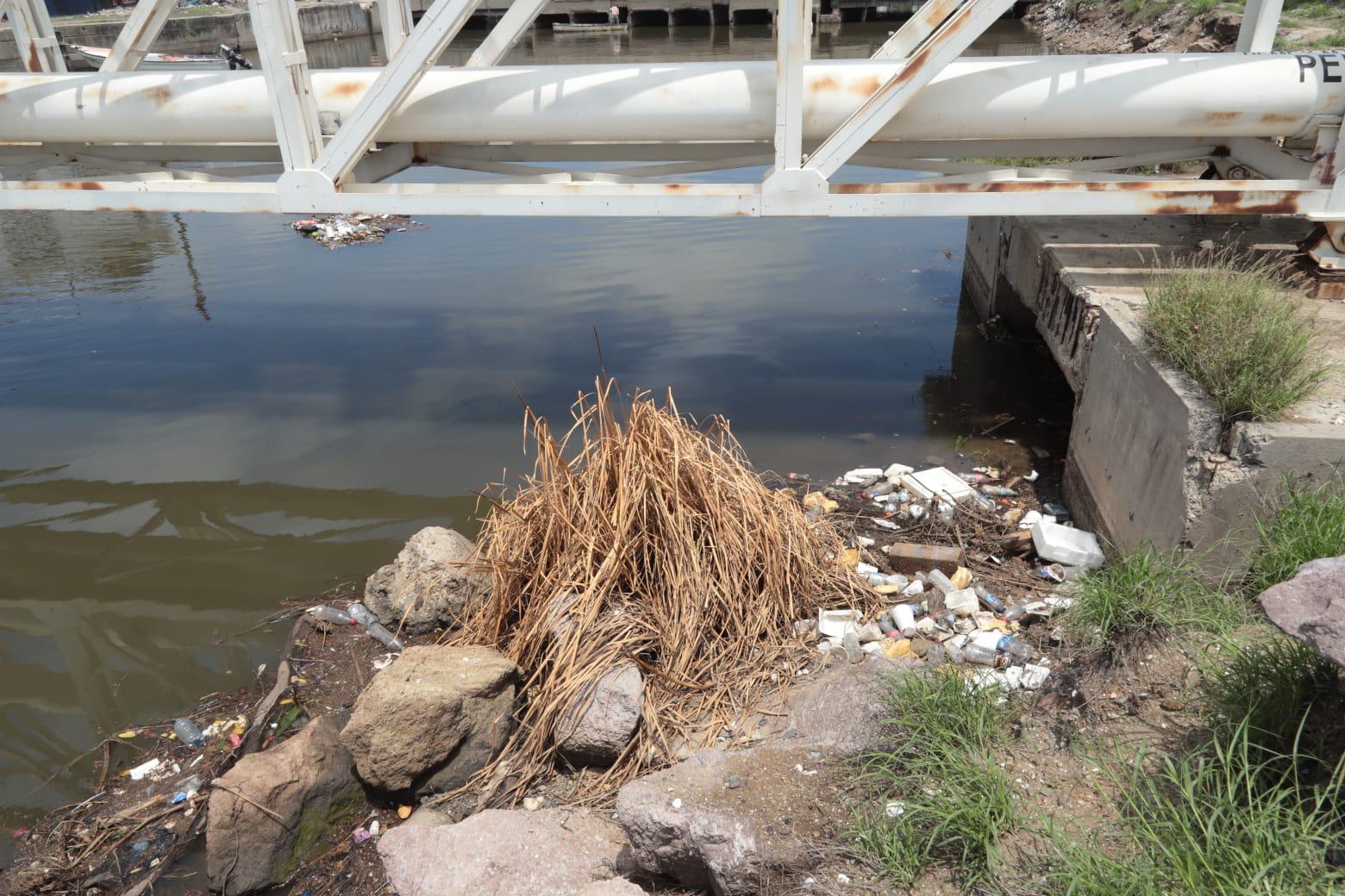 $!Las biobardas, además de contener basura, visibilizan el gran problema que enfrenta Mazatlán en el tema: Ambientalistas