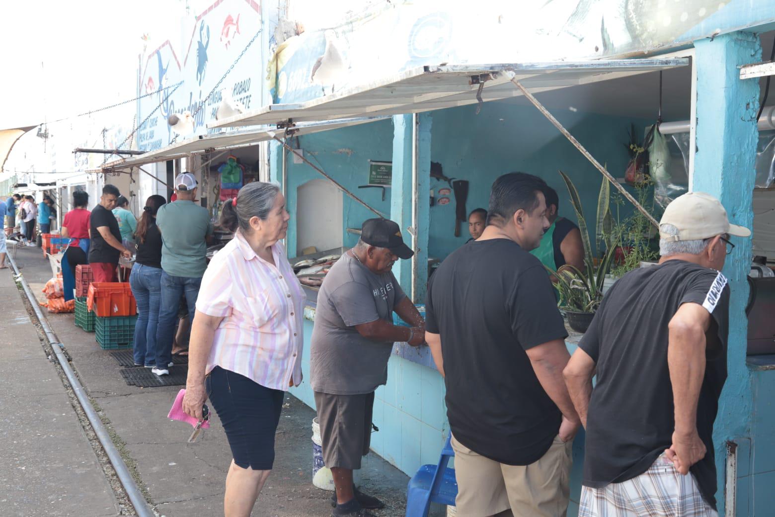 $!Reportan poca pesca del ‘pajarito’, pero mucha expectativa de compradores