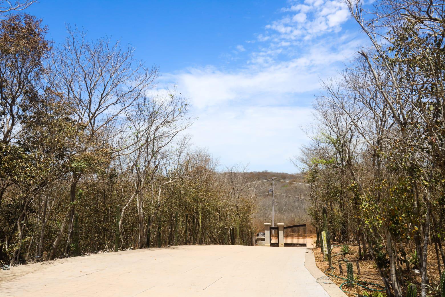 $!Ven necesaria una política ambientalista para Mazatlán