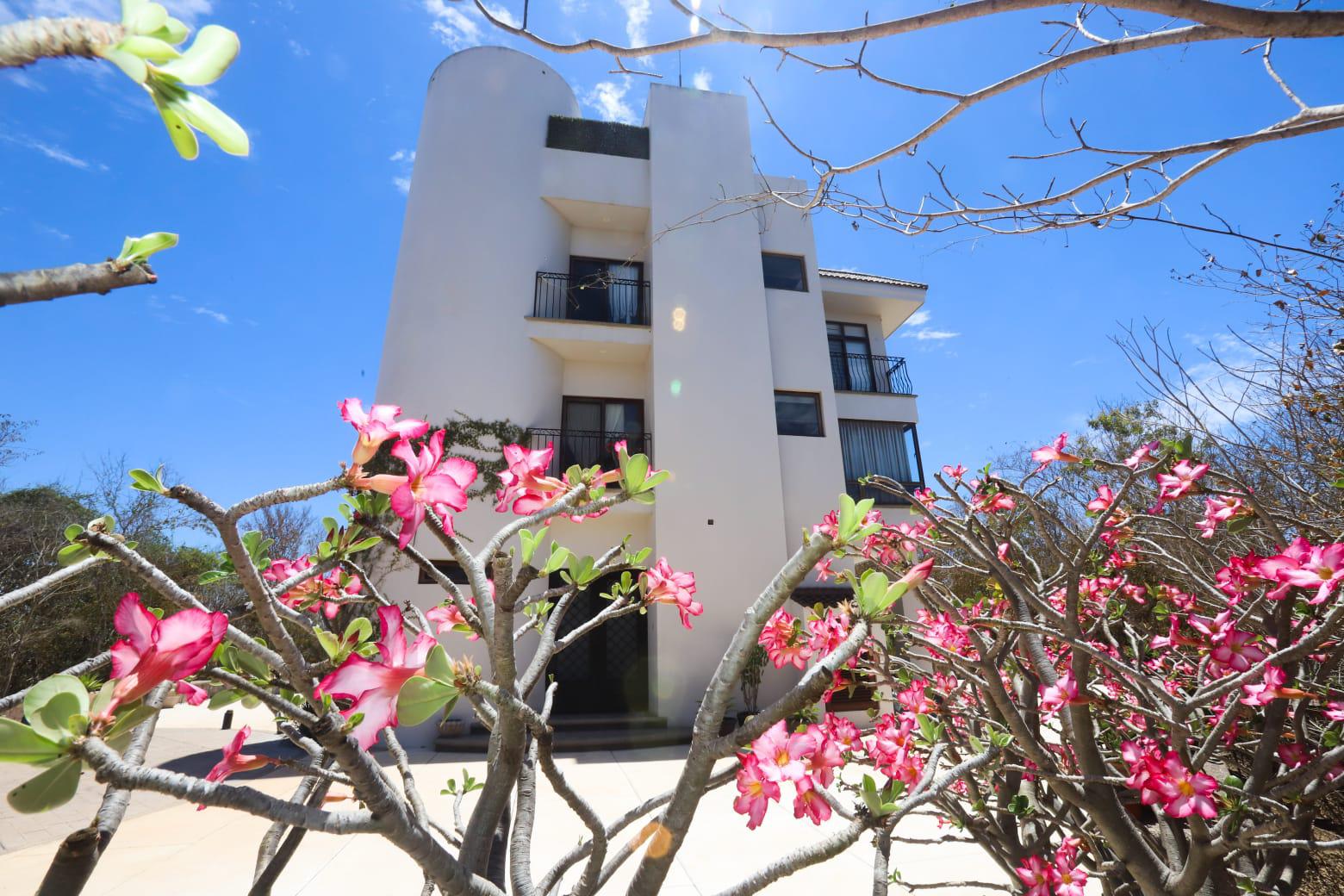 $!Ven necesaria una política ambientalista para Mazatlán