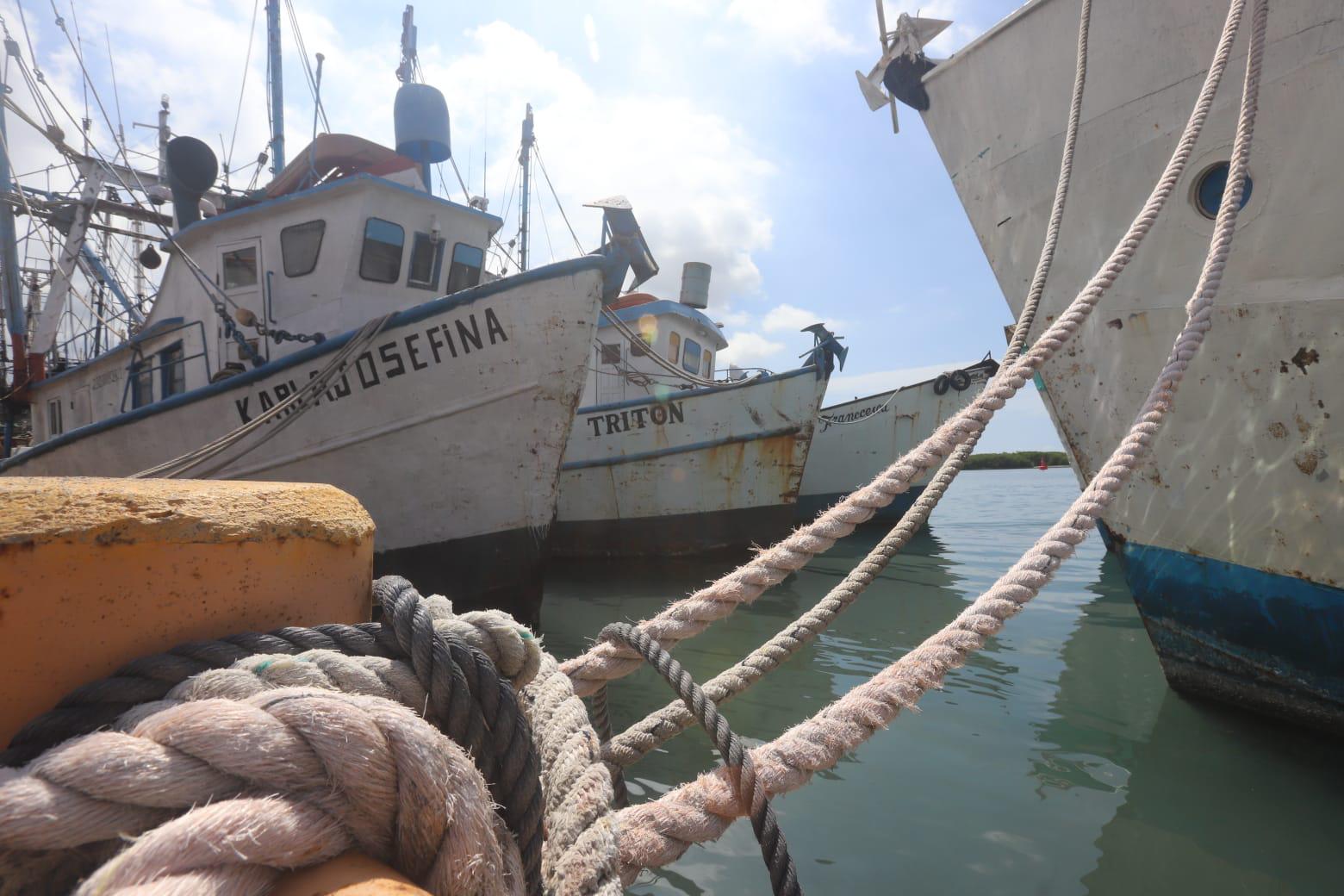 $!Reparan a marchas forzadas flota camaronera de Mazatlán