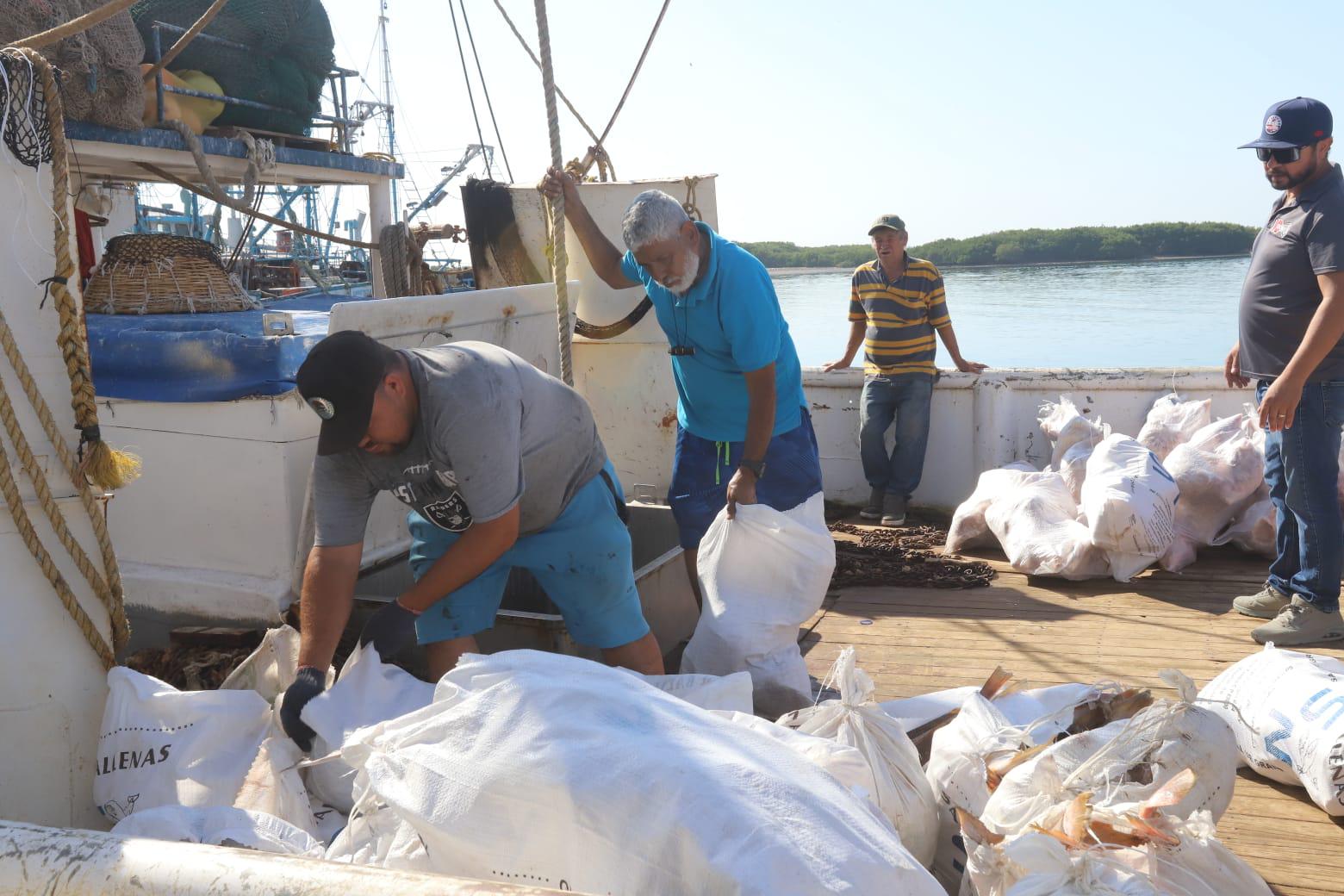 $!Buenos lances de camarón deja el último viaje de capturas, en Mazatlán