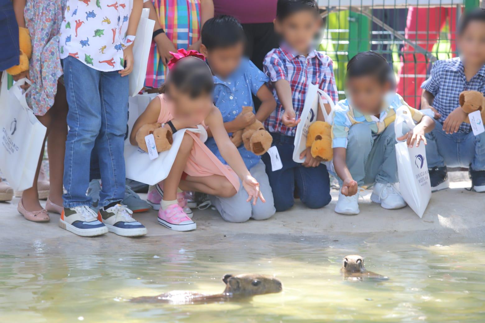 $!Inauguran la Casa Capibara en el Gran Acuario de Mazatlán Mar de Cortés