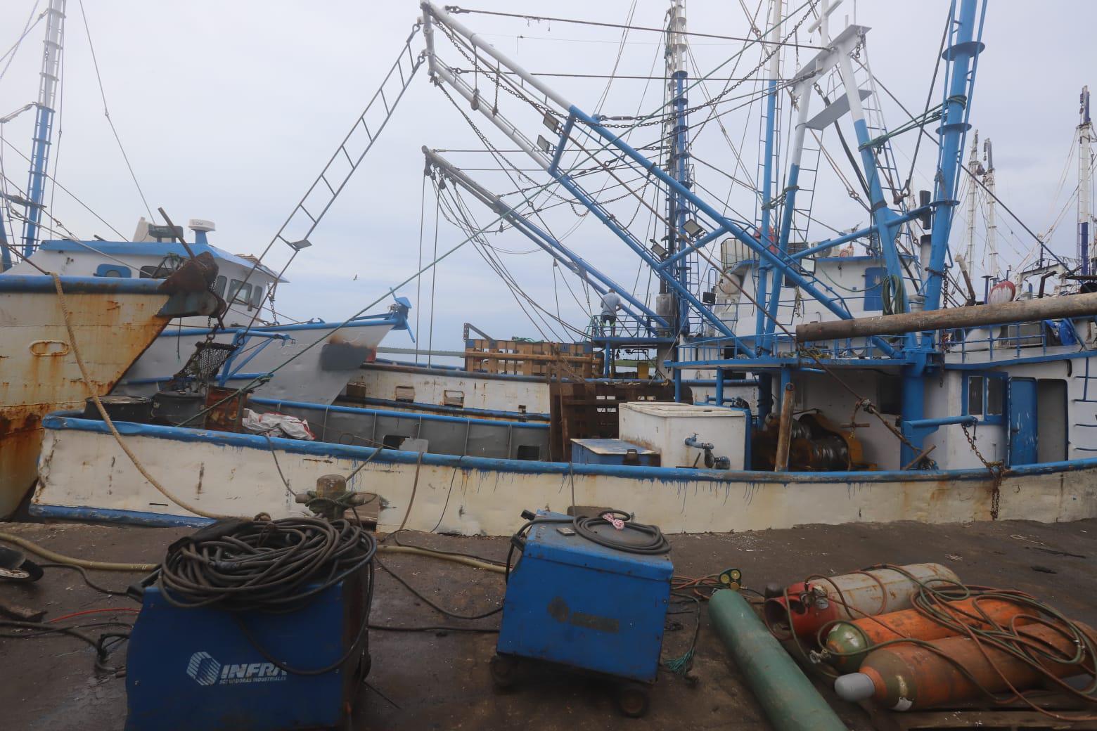 $!Pescadores denuncian saqueo de camarón de altamar por ribereños y aún no definen inicio de la zafra