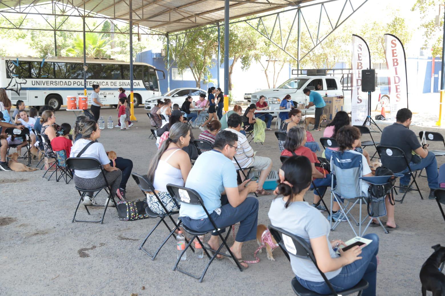 $!En Mazatlán, realizan 200 cirugías de esterilización de mascotas