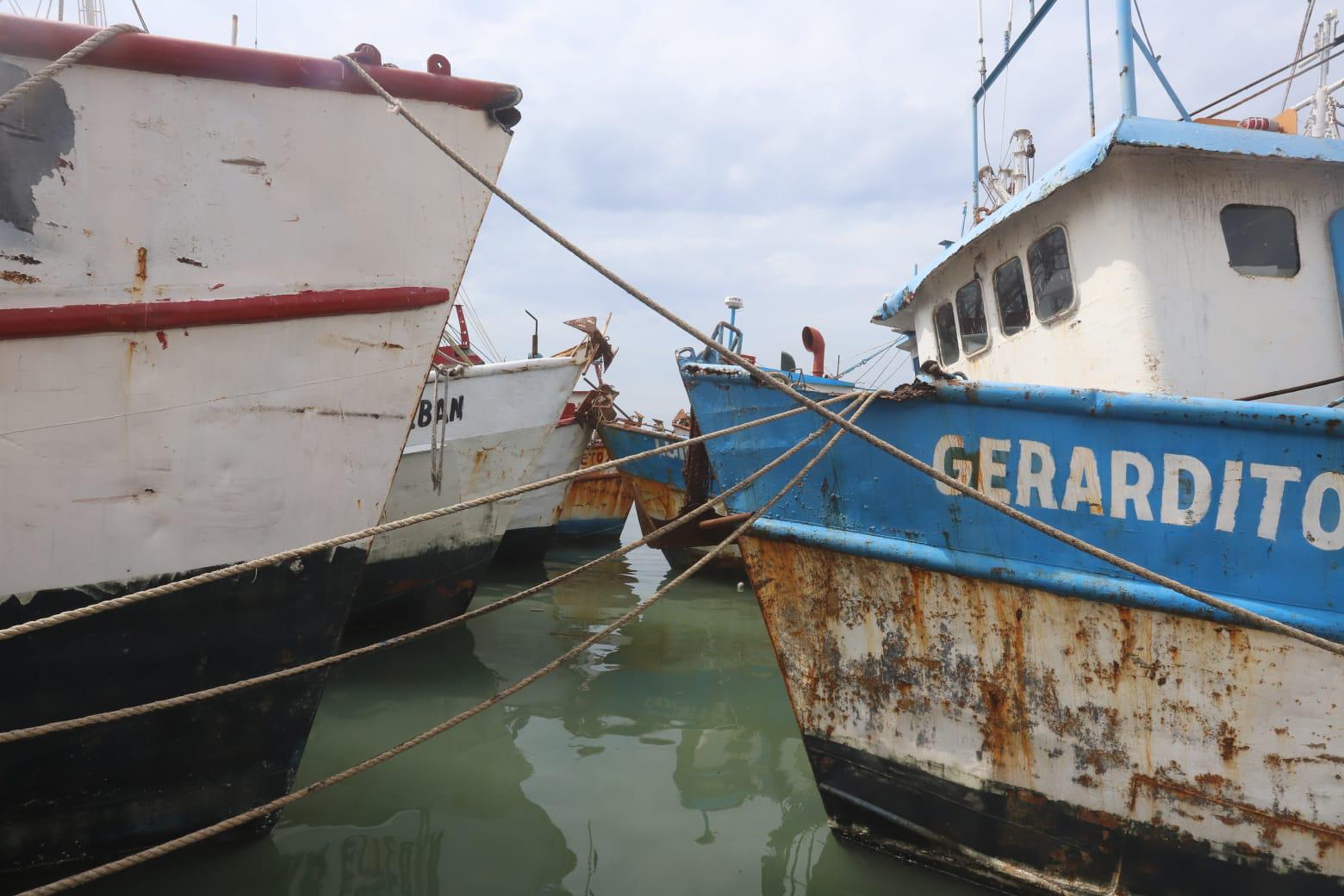 $!Temporada de pesca de tiburón comienza floja ante escasez en Mazatlán