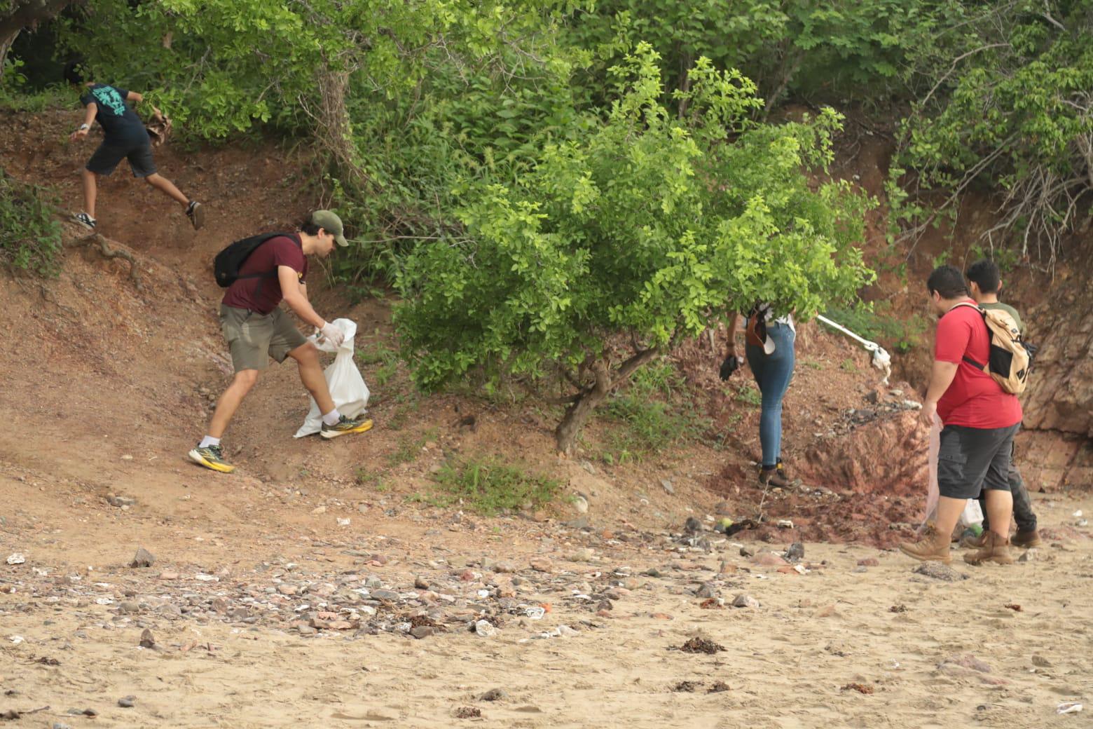 $!Se suman cientos de voluntarios a jornada ambiental para rescatar playas, selva y mangles en Mazatlán