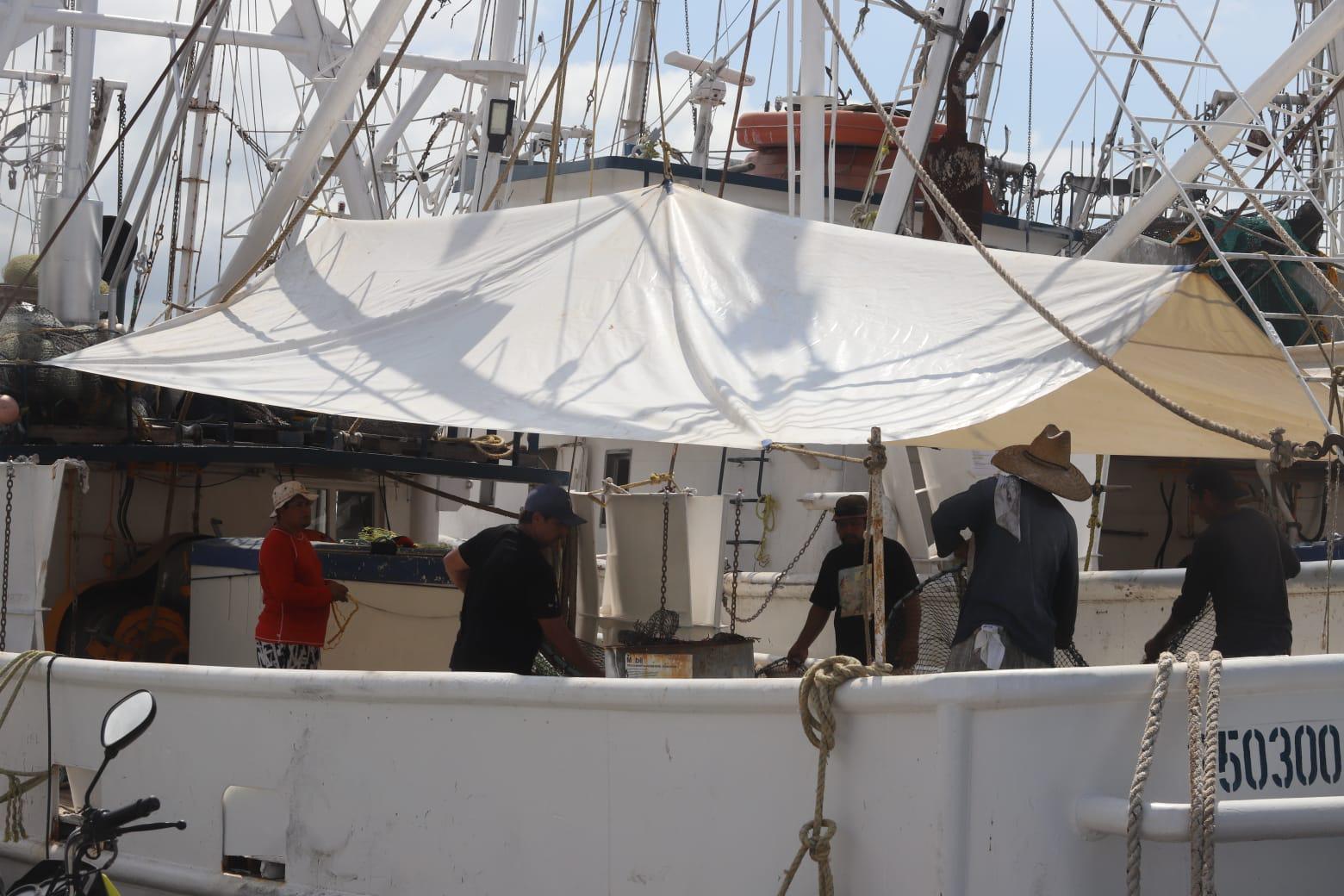 $!Reparan a marchas forzadas flota camaronera de Mazatlán