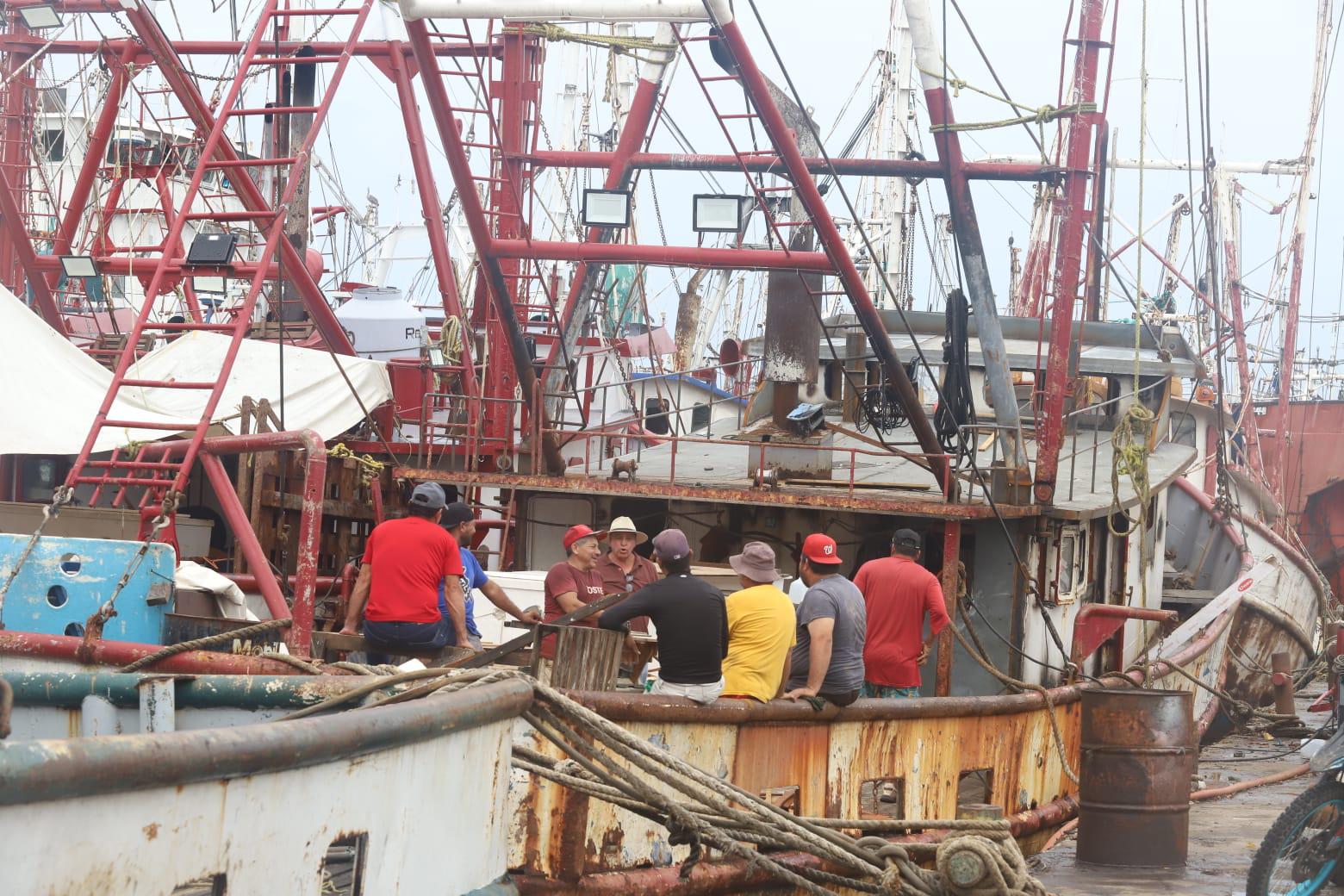 $!Pescadores denuncian saqueo de camarón de altamar por ribereños y aún no definen inicio de la zafra