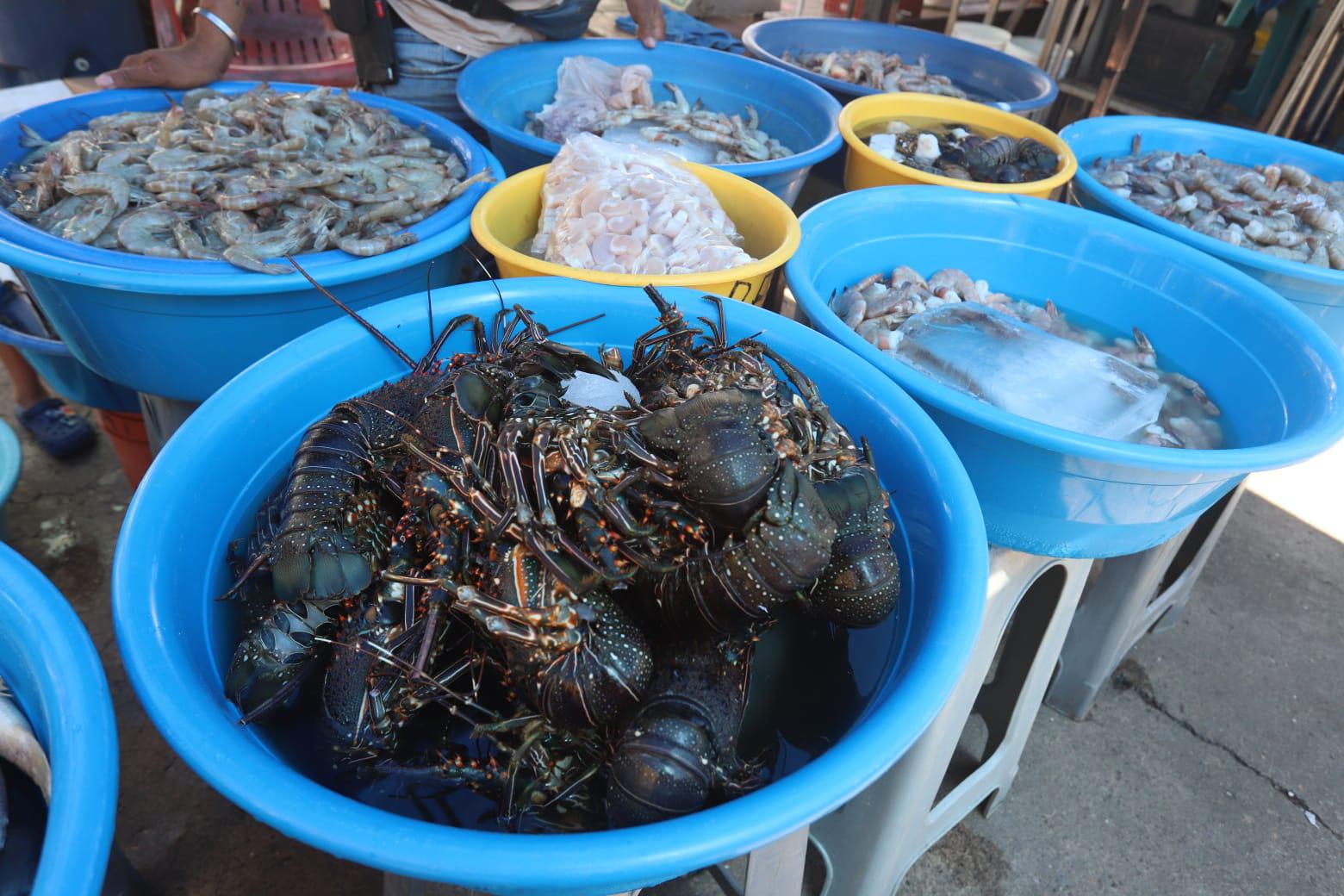 $!Aún con la baja de precio, no logran repuntar ventas de camarón en Mazatlán, señalan vendedoras