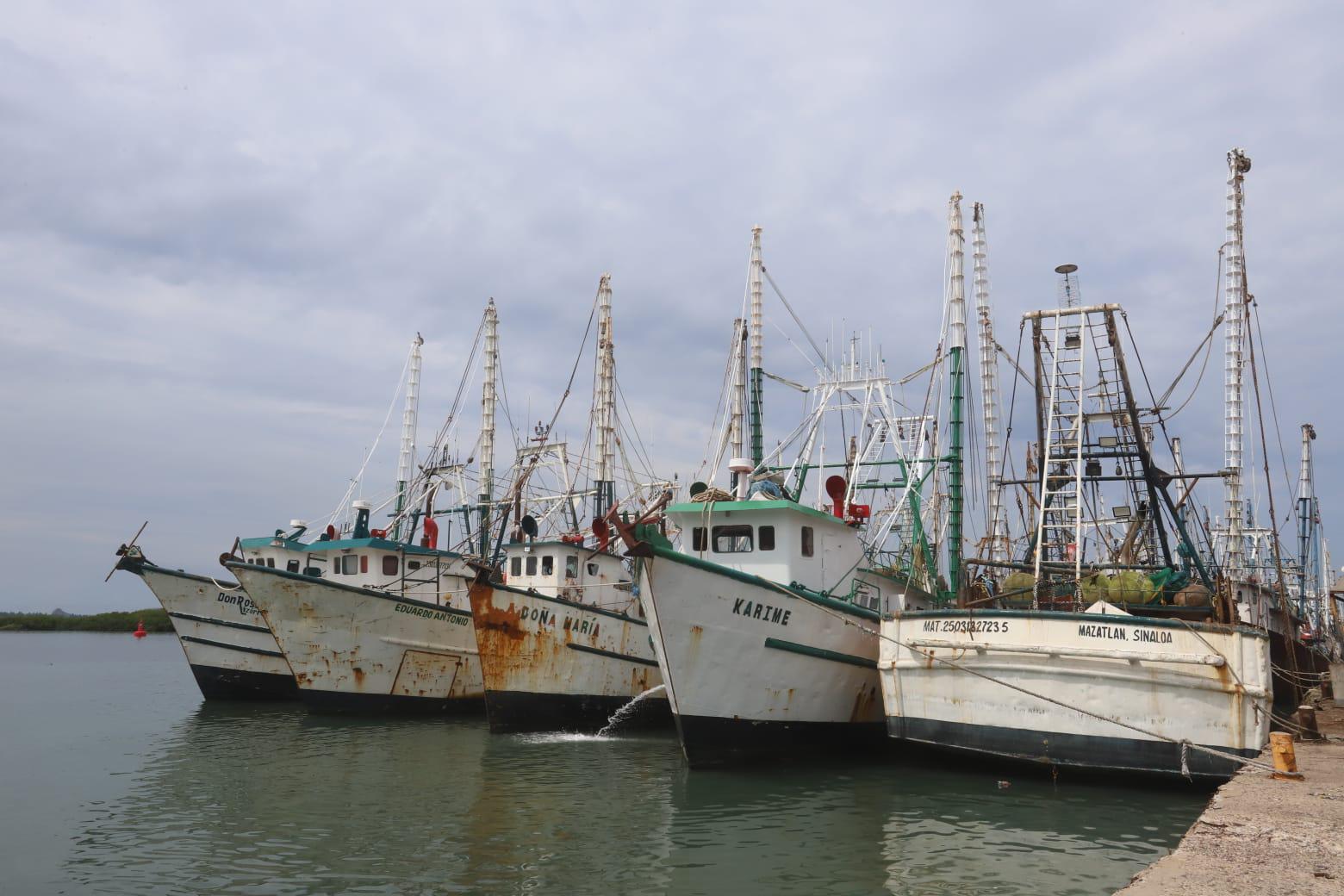 $!Temporada de pesca de tiburón comienza floja ante escasez en Mazatlán