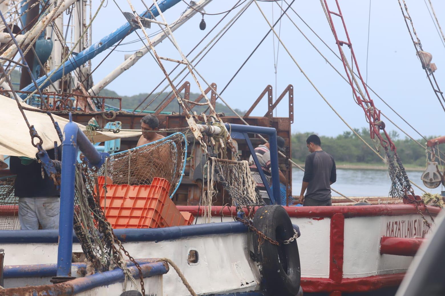 $!Pescadores denuncian saqueo de camarón de altamar por ribereños y aún no definen inicio de la zafra