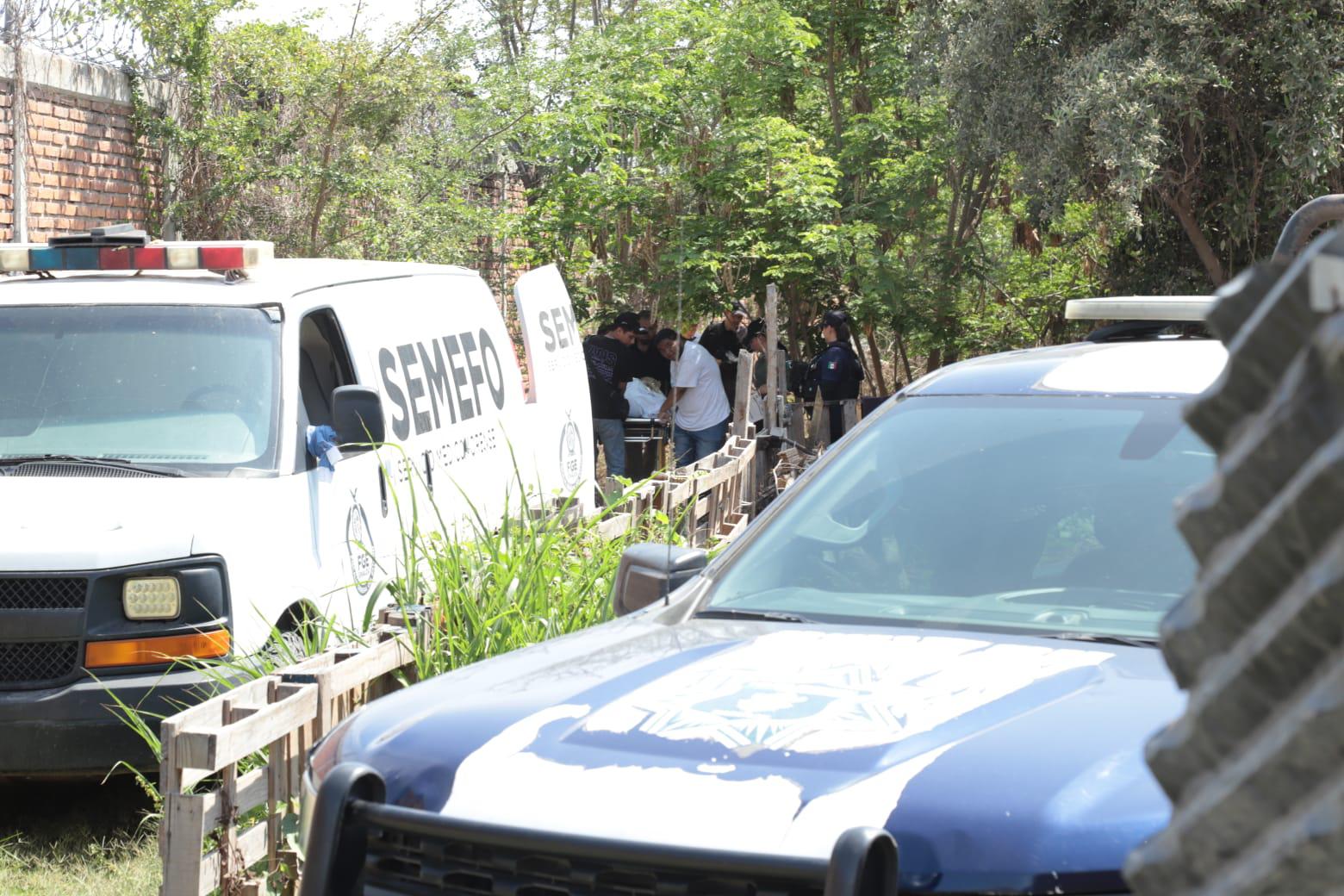 $!Hallan cuerpo de un hombre entre el mangle del Estero de Urías en Mazatlán