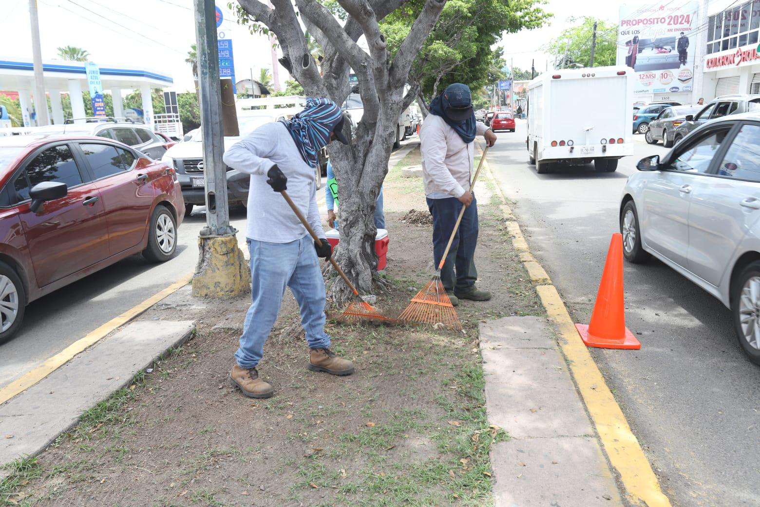 $!Avanzan con trabajos de embellecimiento en Mazatlán estas vacaciones