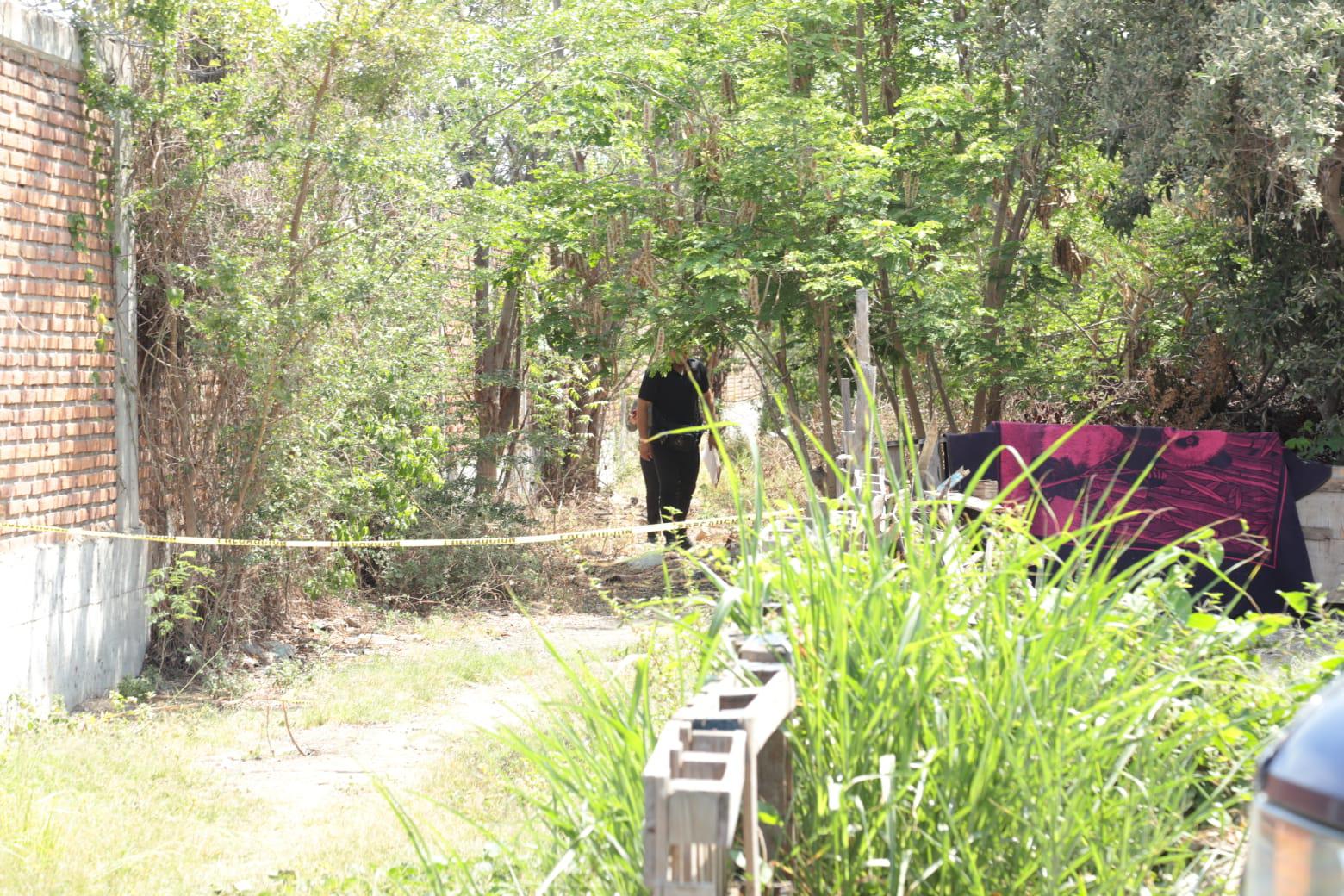 $!Hallan cuerpo de un hombre entre el mangle del Estero de Urías en Mazatlán