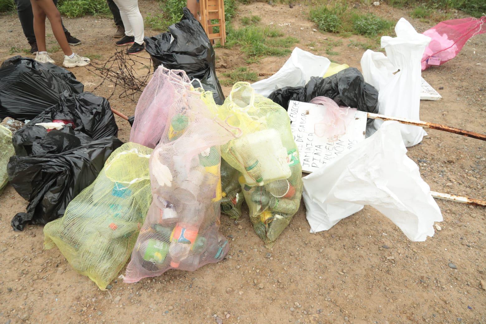 $!Se suman cientos de voluntarios a jornada ambiental para rescatar playas, selva y mangles en Mazatlán