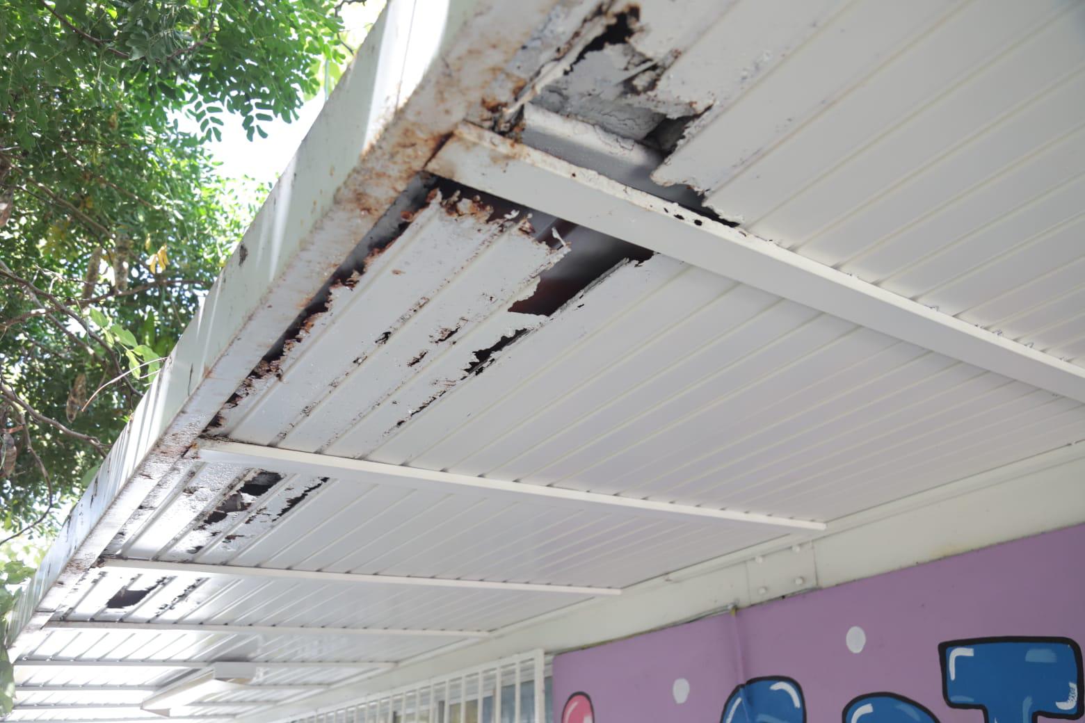 $!Enjambre de abejas obliga a suspender actividades en jardín de niños de Lomas de Mazatlán