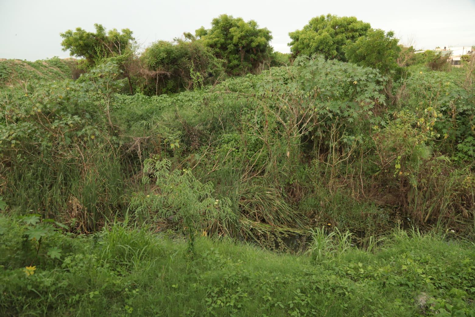 $!Vecinos advierten de posibles afectaciones ante desvío del arroyo Jabalines