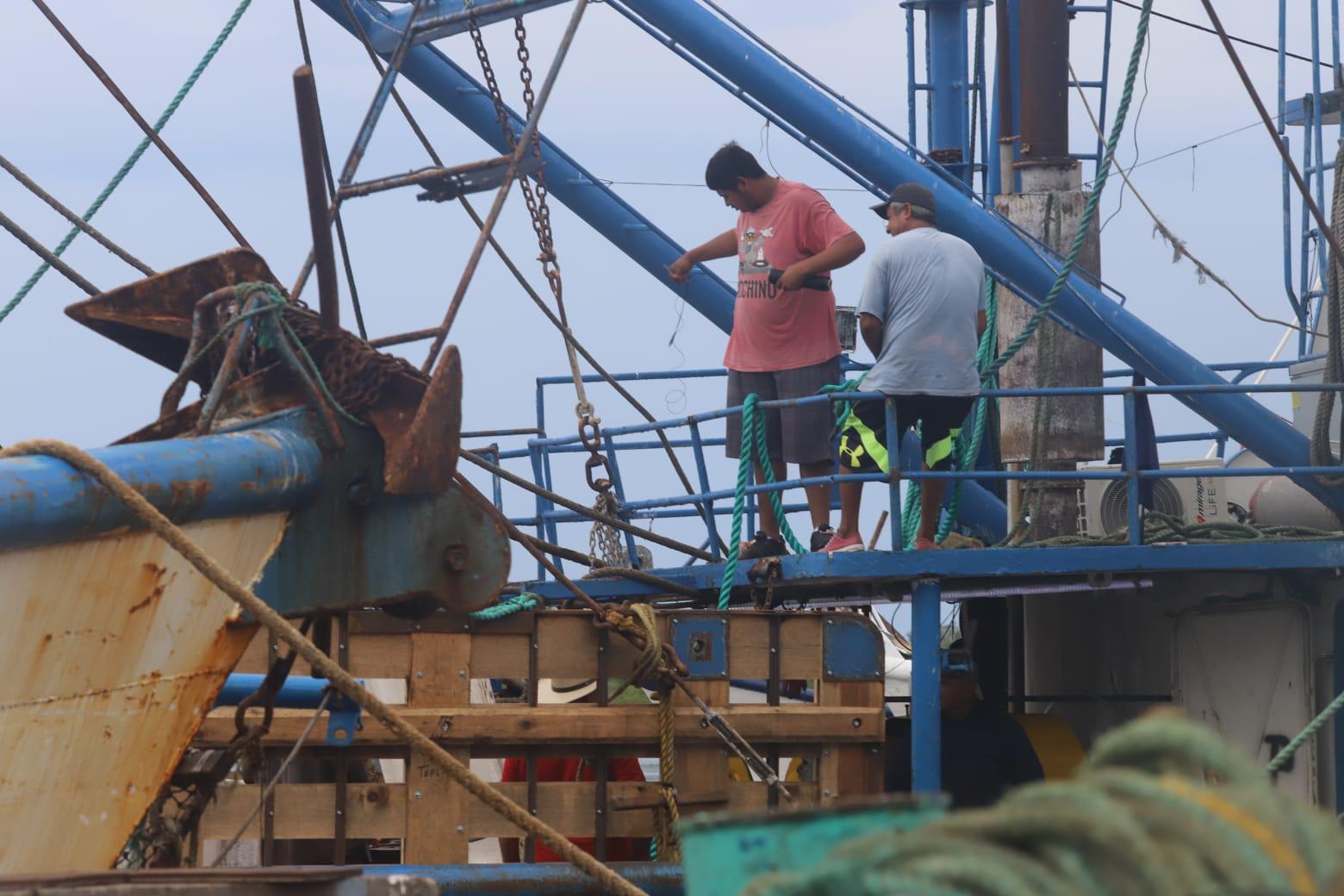 $!Pescadores denuncian saqueo de camarón de altamar por ribereños y aún no definen inicio de la zafra