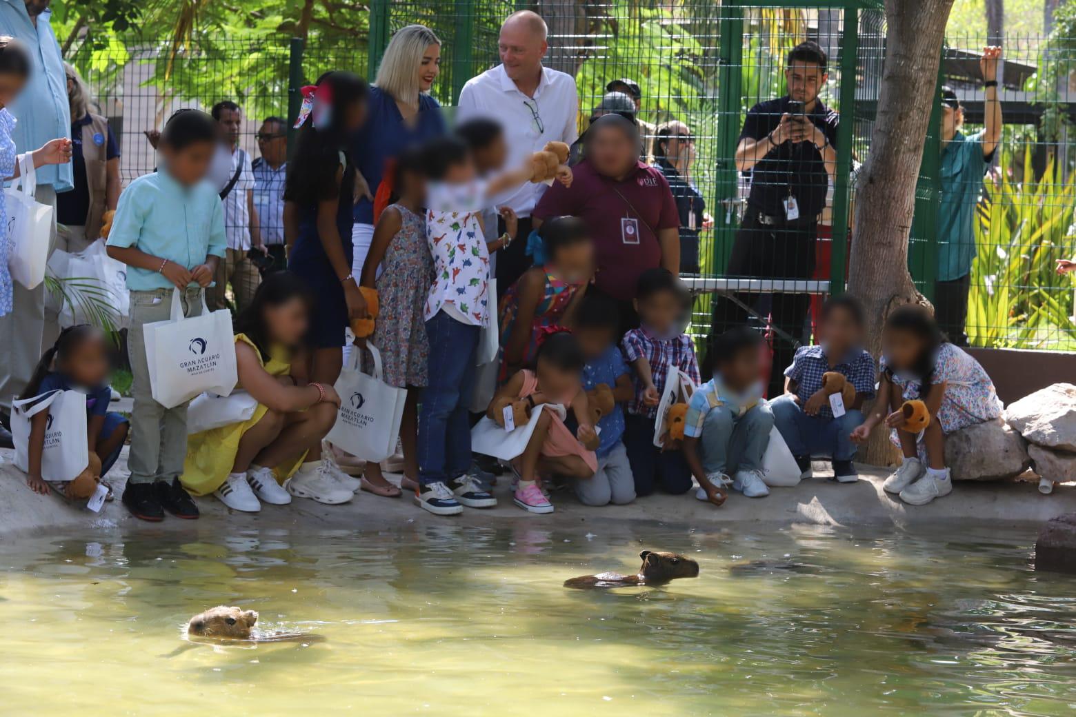 $!Inauguran la Casa Capibara en el Gran Acuario de Mazatlán Mar de Cortés