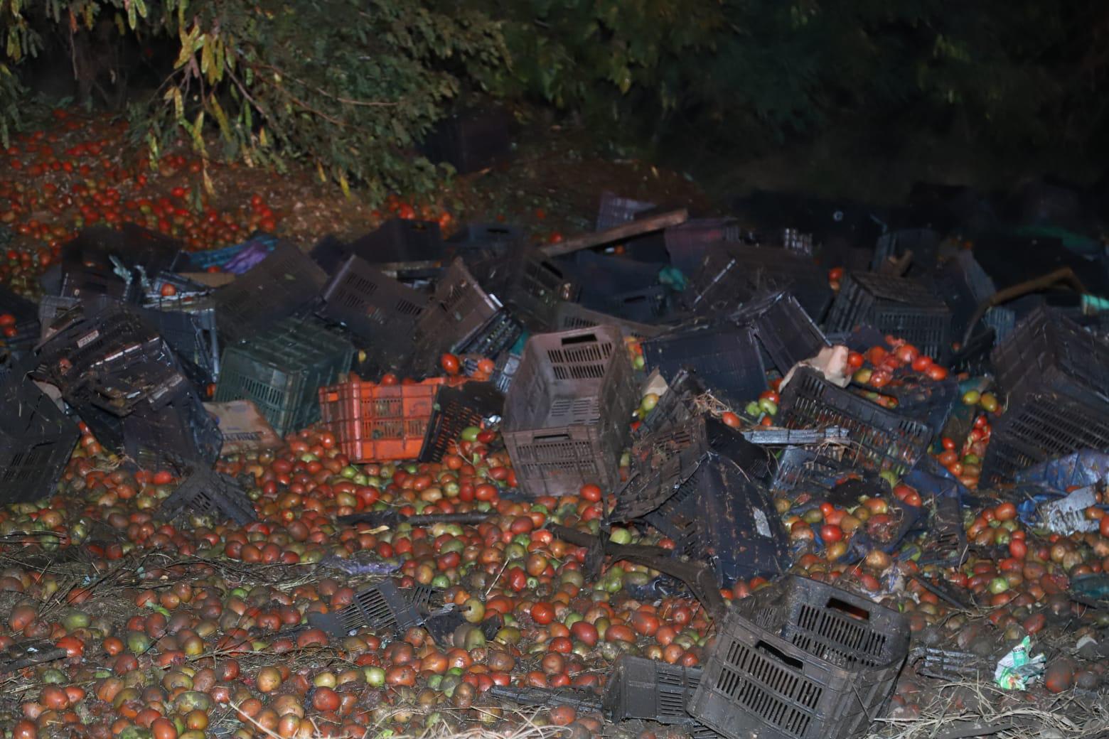 $!Vuelca torton cargado con tomate en salida de la autopista Mazatlán-Culiacán