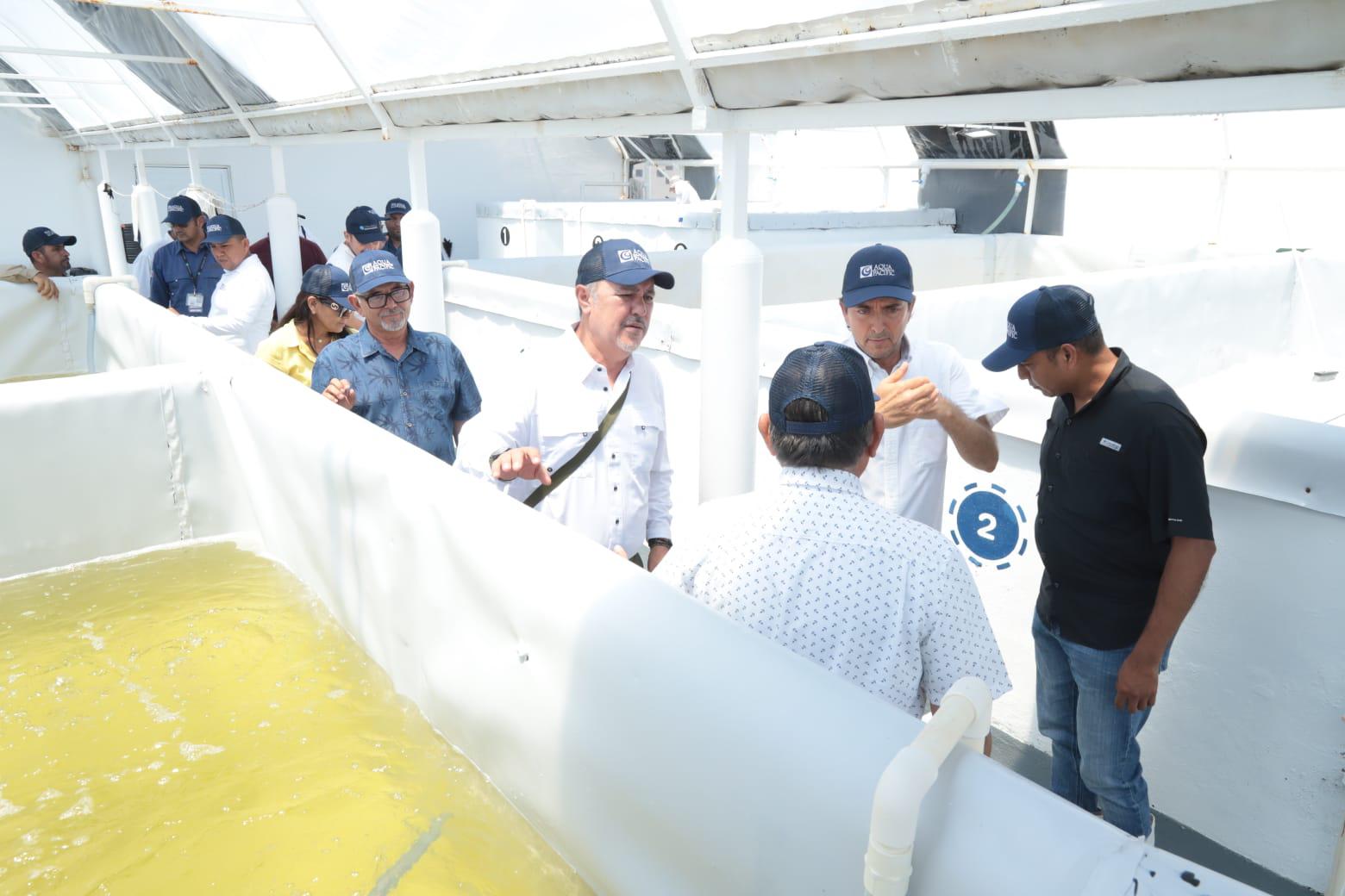 $!Recorre titular de Conapesca granjas acuícolas y laboratorios del sur de Sinaloa