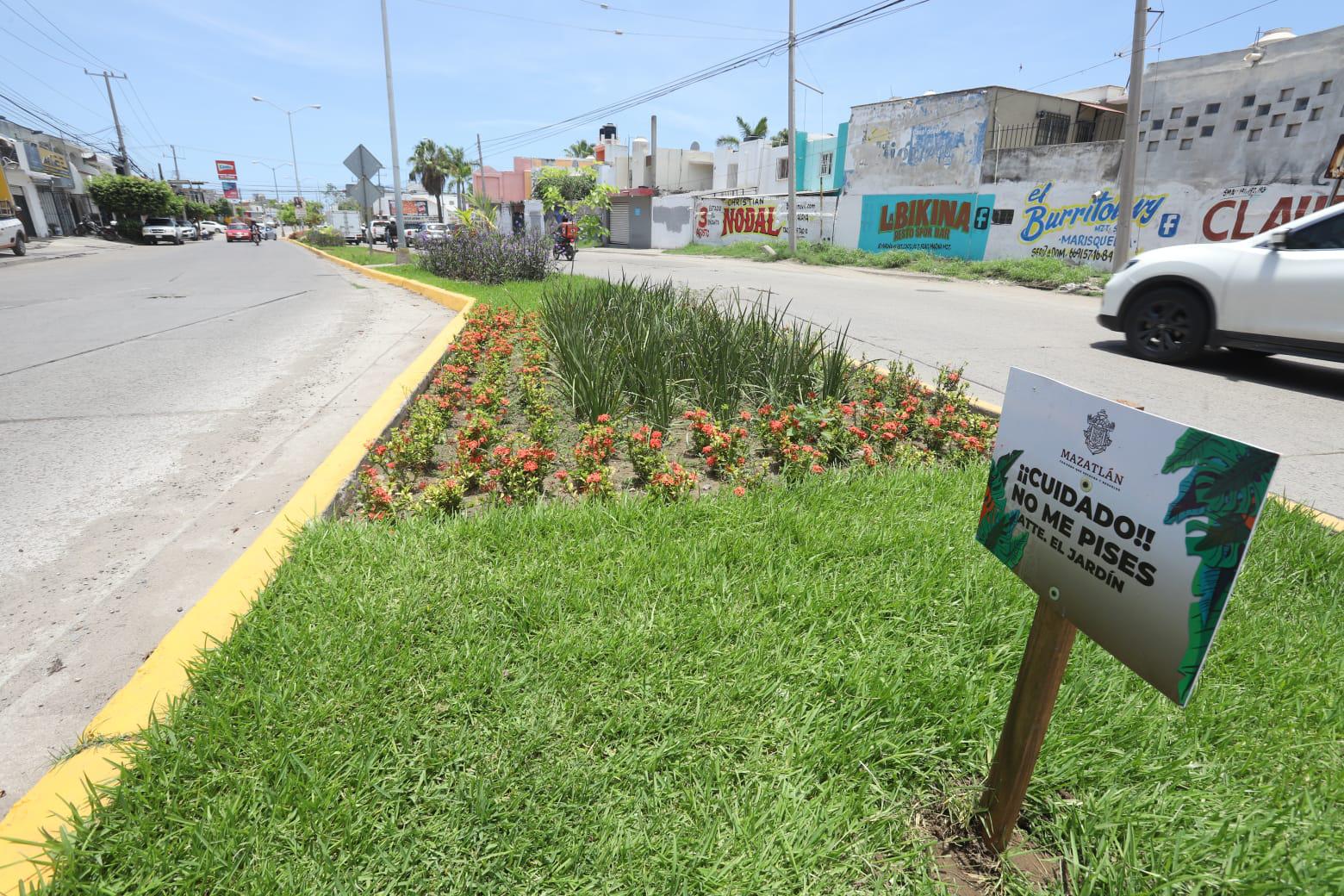 $!Avanzan con trabajos de embellecimiento en Mazatlán estas vacaciones