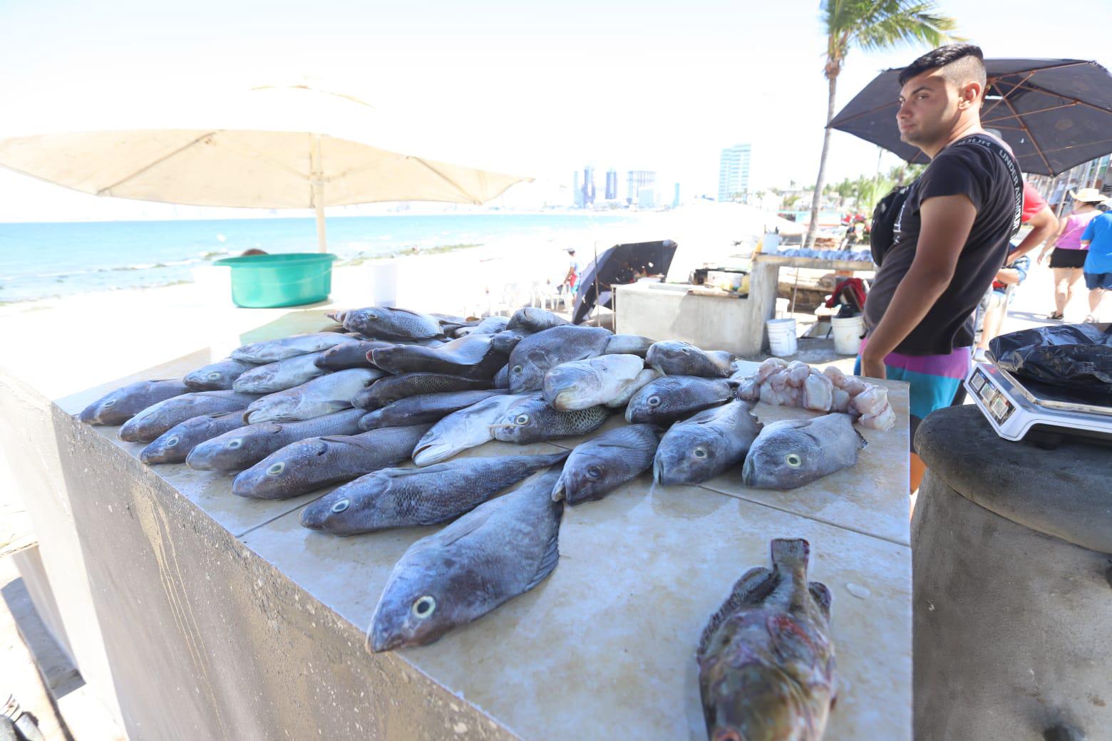 $!Lamentan nulo repunte de venta de pescados y mariscos en Playa Norte