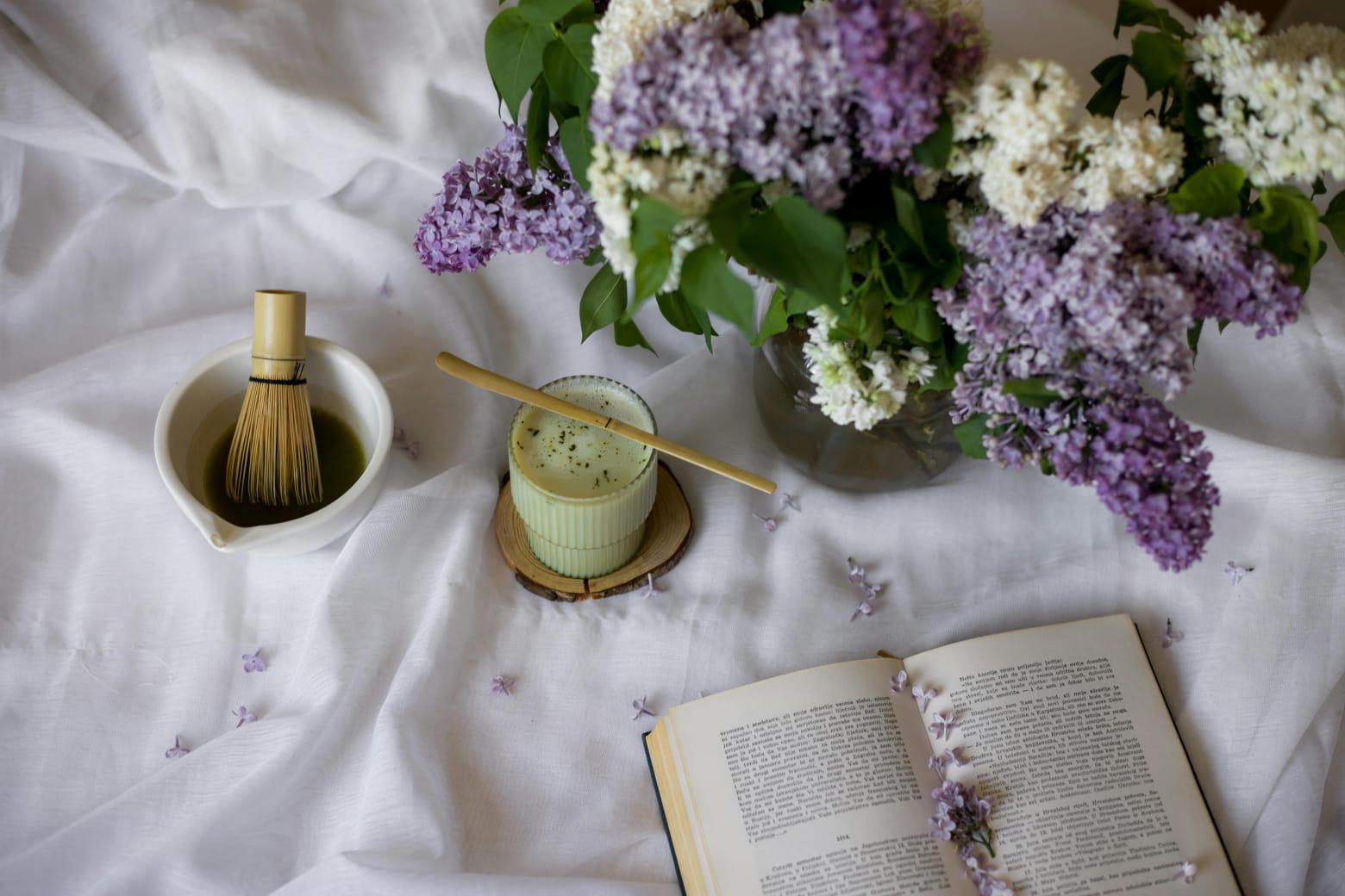 $!En el Jardín Botánico de Culiacán está la plata que da origen al matcha