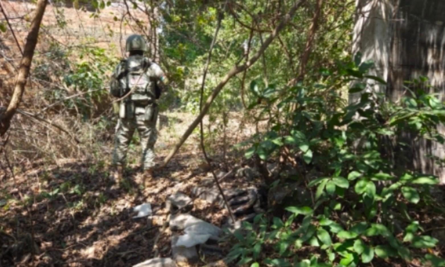 $!Ejército Mexicano asegura más de mil cartuchos ocultos entre la maleza en Escuinapa