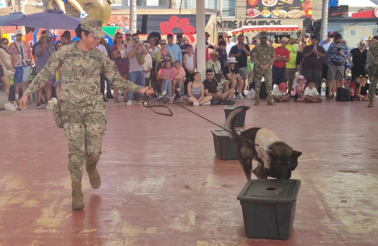 $!Marina realiza demostración de binomios caninos y rescate marítimo en Mazatlán