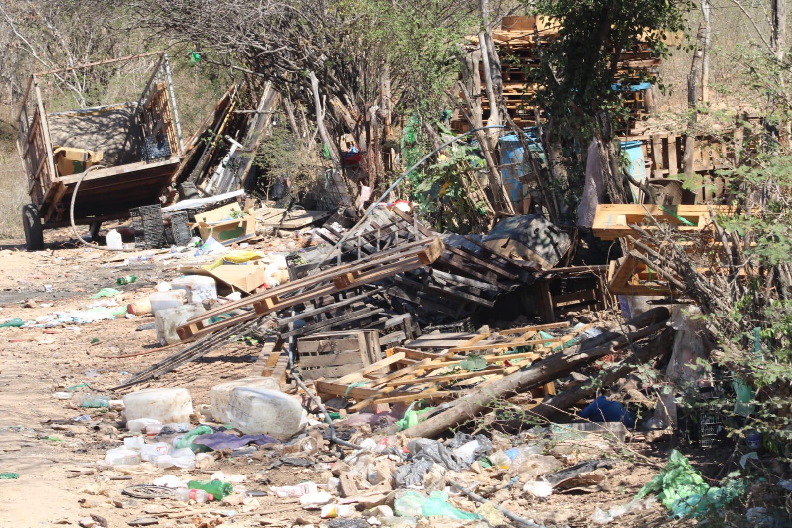 $!Denuncian criadero insalubre de cerdos en el ejido Siete Gotas, en Culiacán