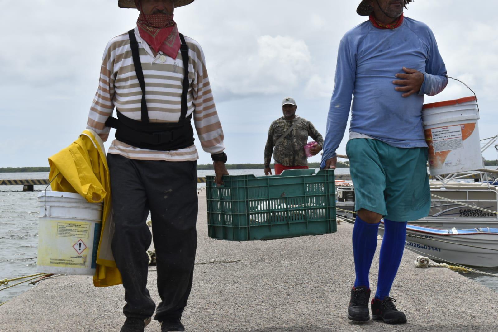 $!Mal clima impide la salida a altamar de pescadores de Altata