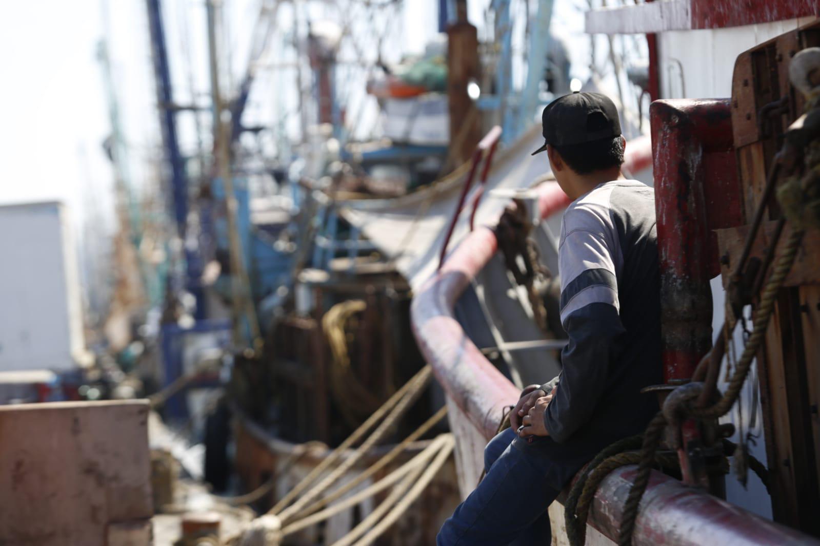 $!Llegan últimos barcos camaroneros a Mazatlán ante cercanía de la veda en altamar; reportan bajas capturas
