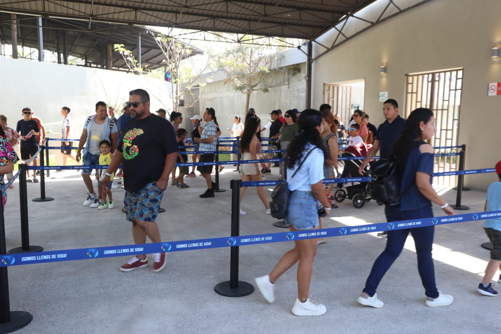$!El Gran Acuario Mazatlán recibió a sus primeros visitantes este sábado