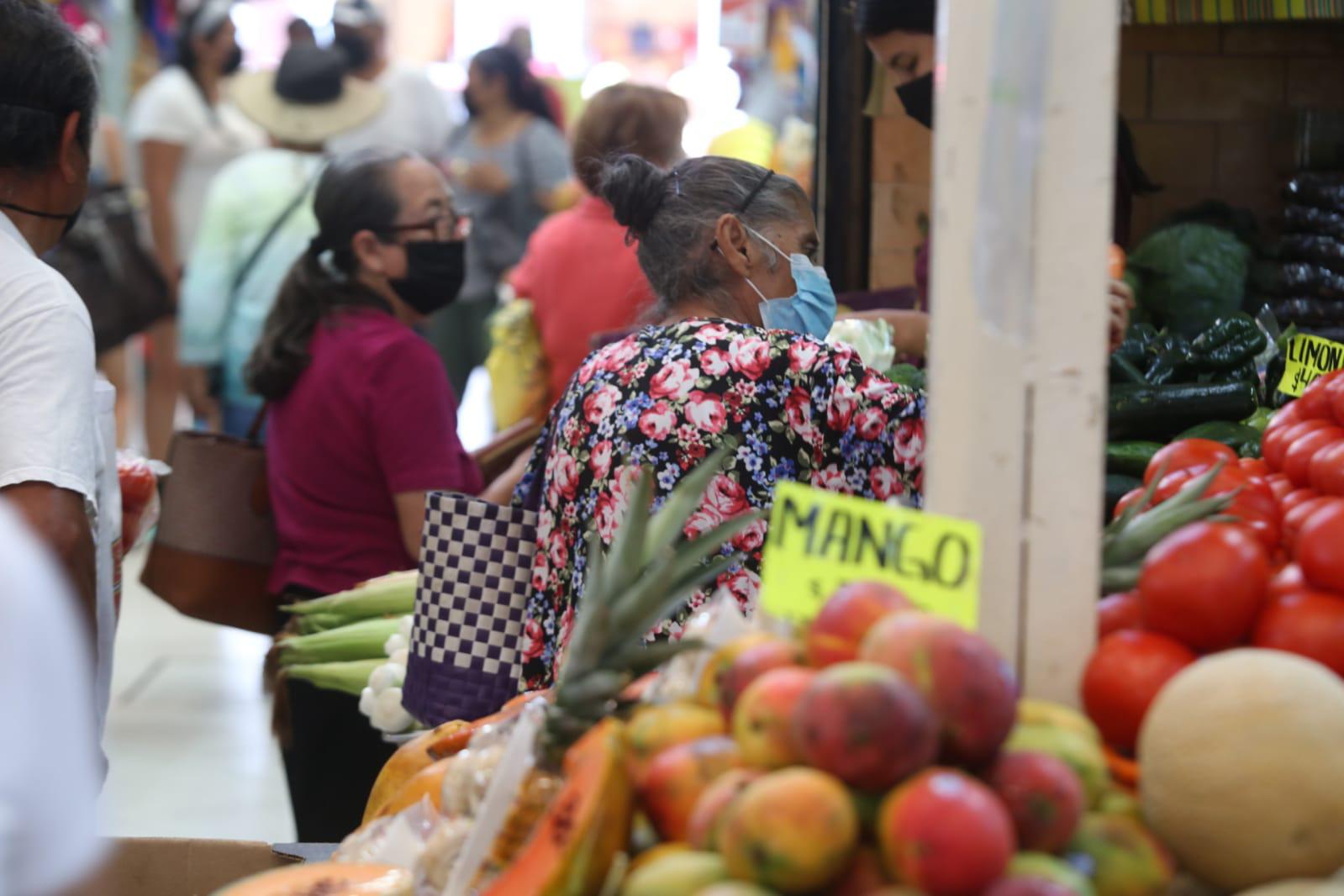 $!En Mazatlán, el aguacate sigue carísimo en el ‘Pino Suárez’; el kilo alcanza hasta los $120