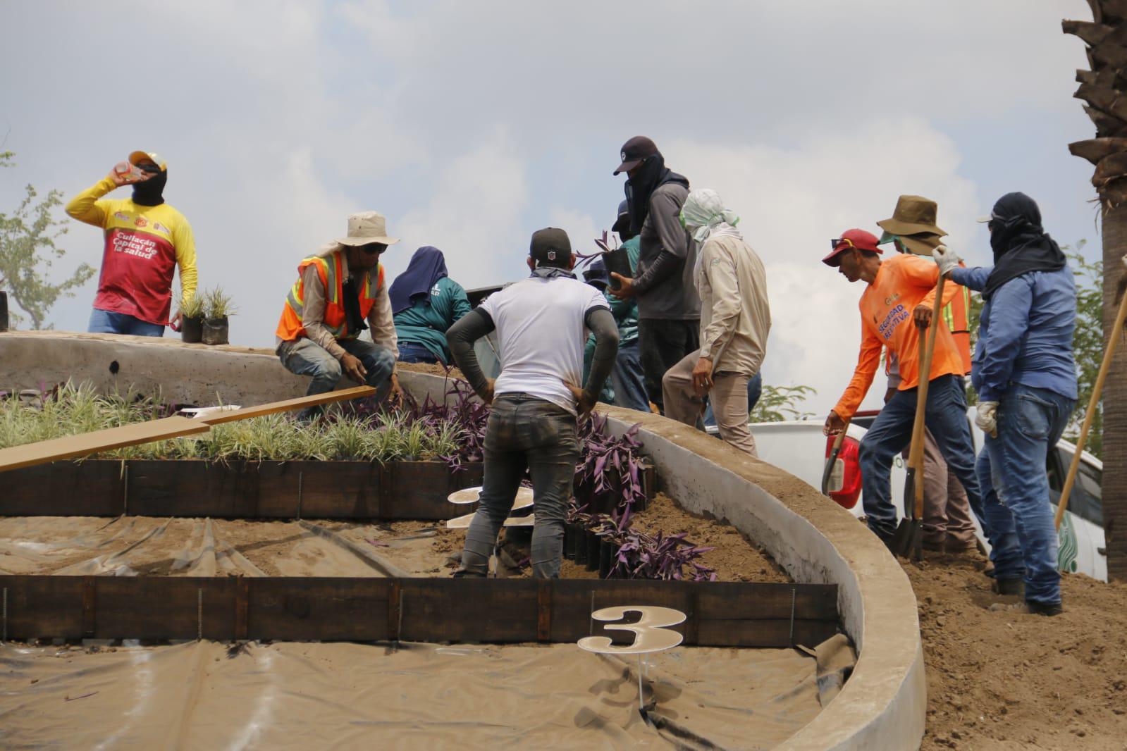 $!Tendrá Culiacán un reloj floral de 10.4 metros de diámetro; ya se pueden ver los avances